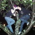 emo love - den!s@D - *E M O*