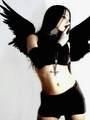 gothic angels - mag_483 - *G O T H*