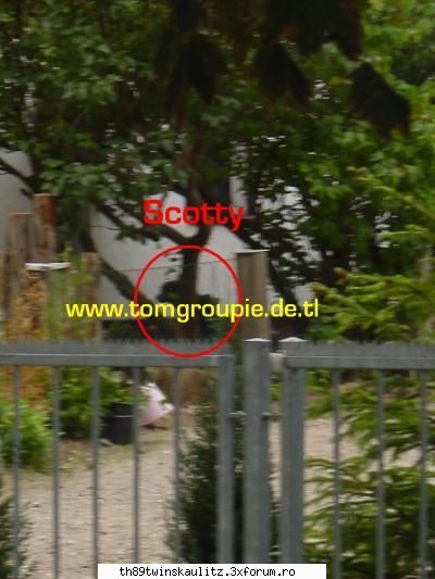 mamy taty kaulitz - Lolly - T W I N S