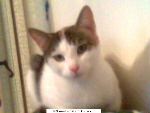 �●๋�miki-nebunika�●๋� - *miha* - *W E L C O M E*